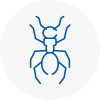 Ant Removals In Middleton