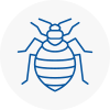 Bed Bug Extermination In Middleton