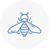 Bee Nest Removal Middleton