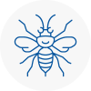 Middleton Hornet Nest Removals