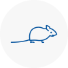 Mice Exterminators In Middleton