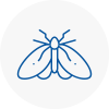 Moth Control Specialists In Middleton