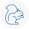 Middleton Rodent Removals